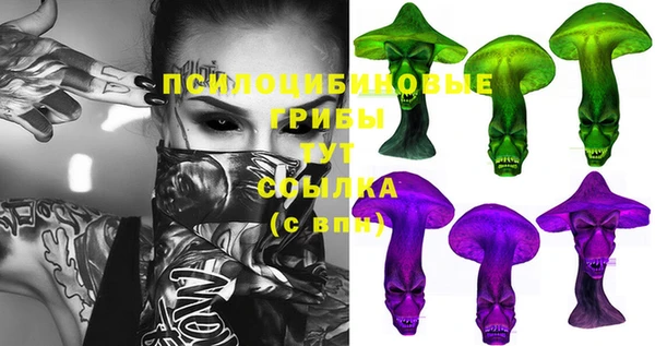 ешки Алзамай